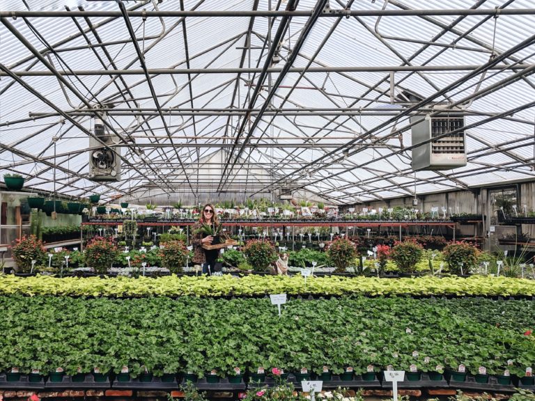 Denver Plant Nursery Map + Guide Sarah Bella